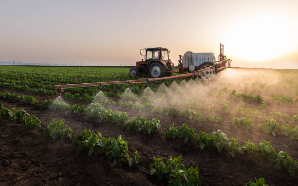 Best Pest Removal Services  in Heyburn, ID