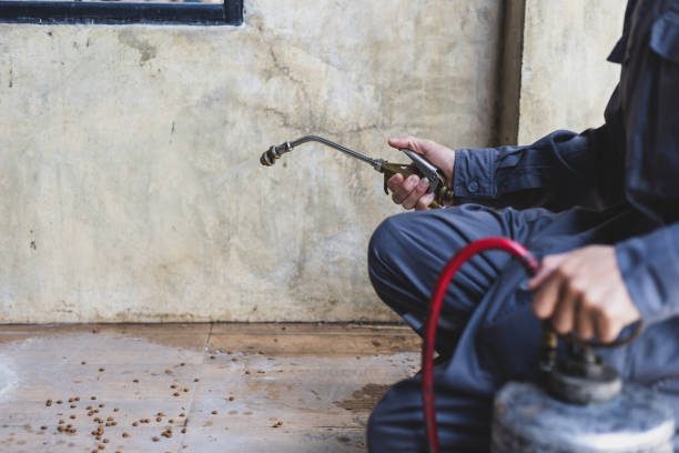 Best Affordable Pest Control Services  in Heyburn, ID